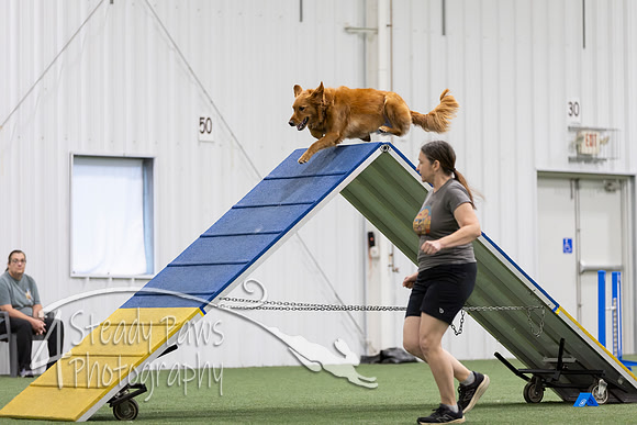 MastersSeriesAgility2026104