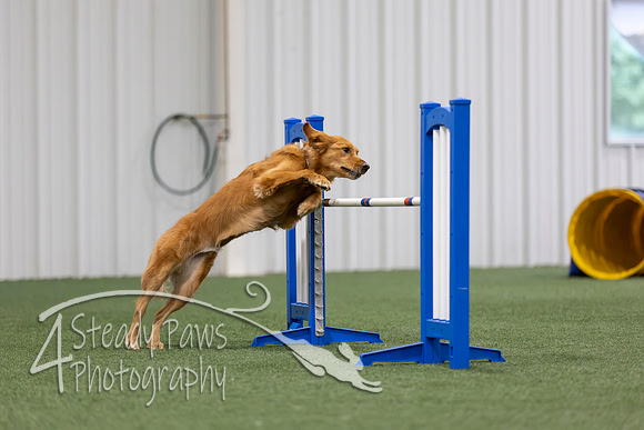 MastersSeriesAgility2026105