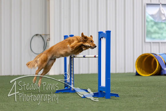 MastersSeriesAgility2026106
