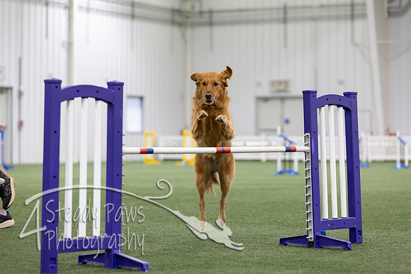 MastersSeriesAgility2026109