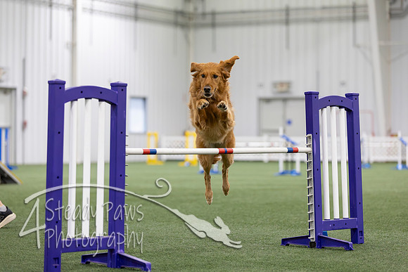 MastersSeriesAgility2026110