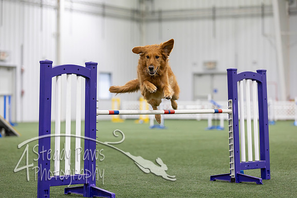 MastersSeriesAgility2026111