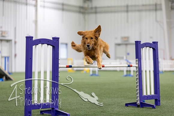 MastersSeriesAgility2026112