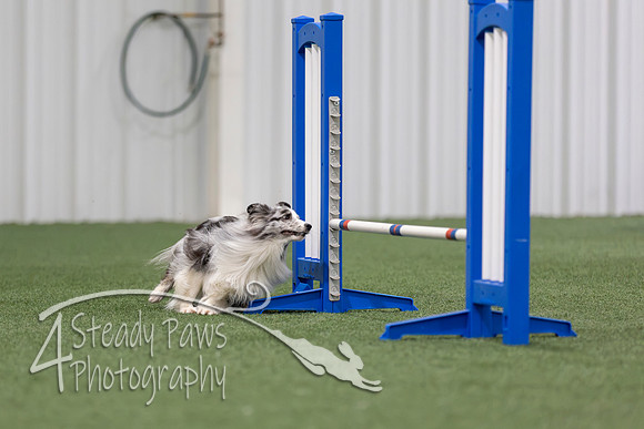 MastersSeriesAgility2026114