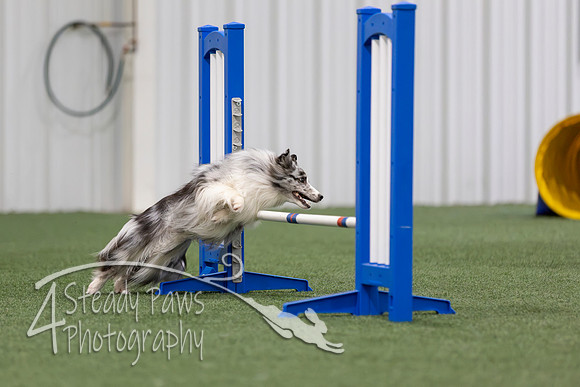 MastersSeriesAgility2026115