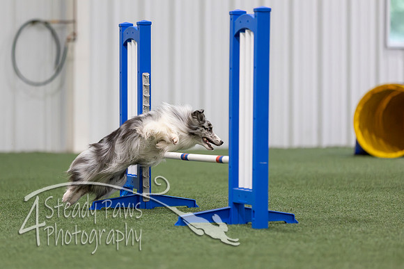MastersSeriesAgility2026116