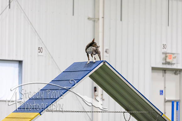 MastersSeriesAgility2026122