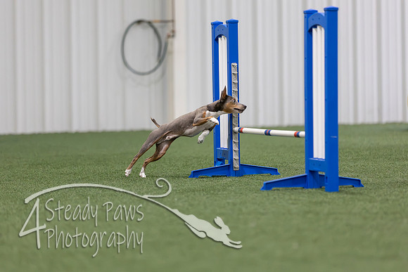 MastersSeriesAgility2026123