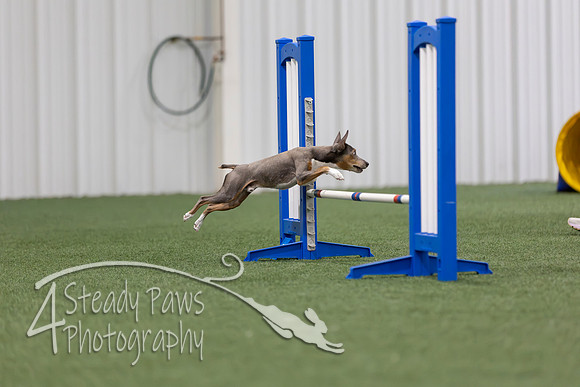 MastersSeriesAgility2026124