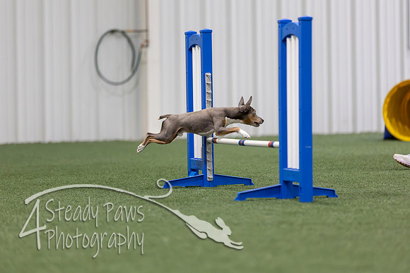 MastersSeriesAgility2026125