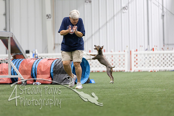 MastersSeriesAgility2026126