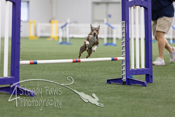 MastersSeriesAgility2026127