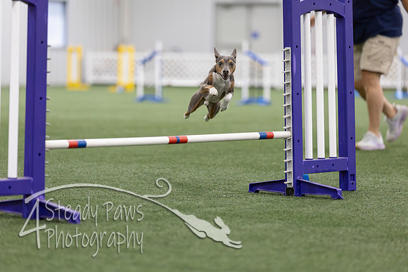 MastersSeriesAgility2026128