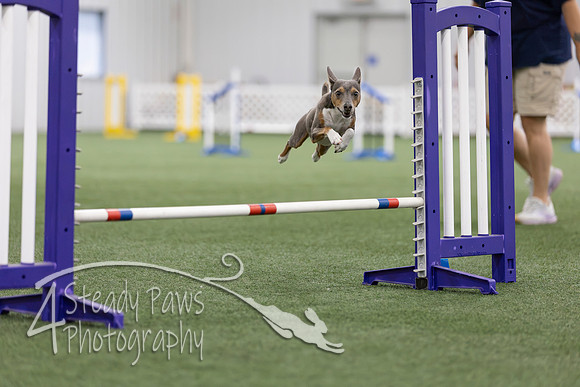 MastersSeriesAgility2026129