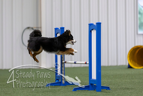 MastersSeriesAgility2026130