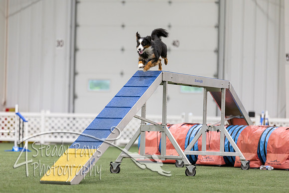 MastersSeriesAgility2026132