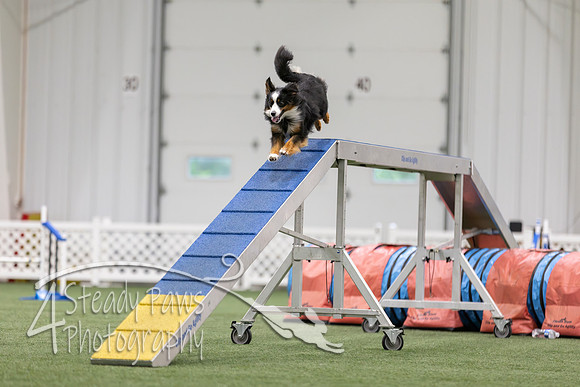 MastersSeriesAgility2026133