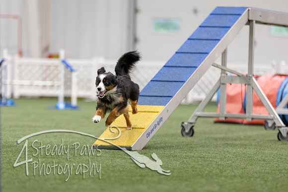 MastersSeriesAgility2026134