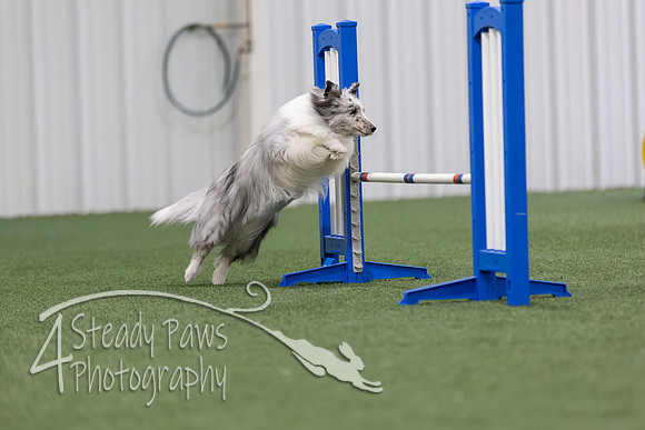 MastersSeriesAgility2026135