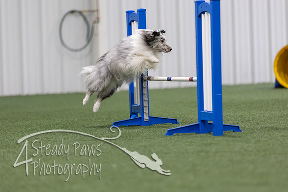 MastersSeriesAgility2026136