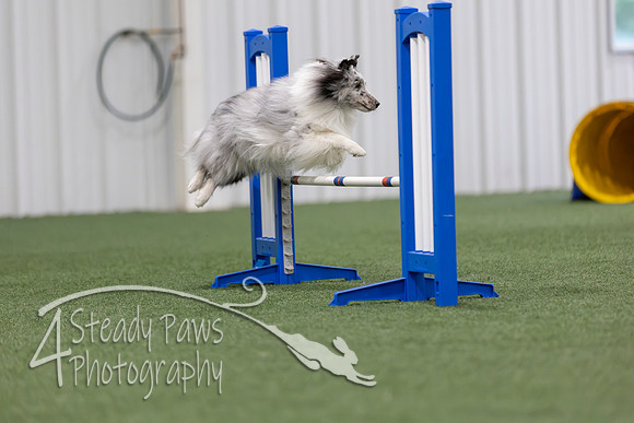 MastersSeriesAgility2026137