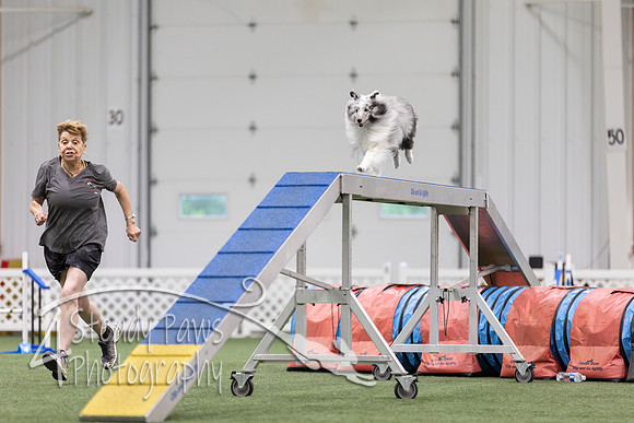 MastersSeriesAgility2026139