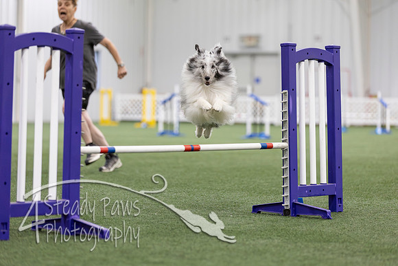MastersSeriesAgility2026141