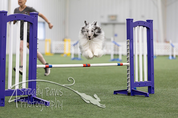 MastersSeriesAgility2026142