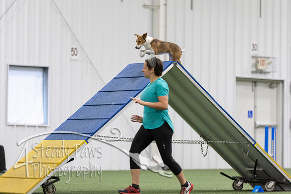 MastersSeriesAgility2026143