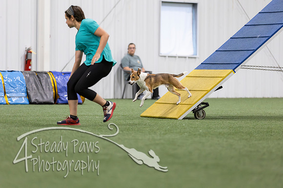 MastersSeriesAgility2026144