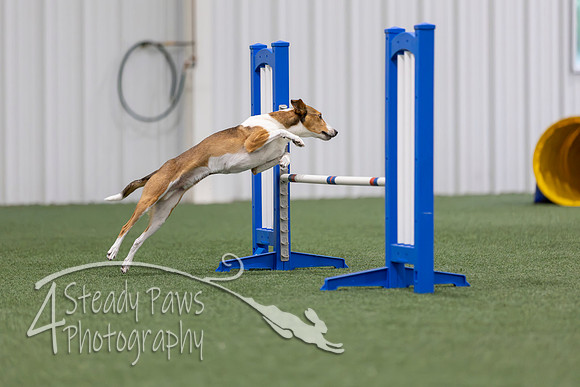 MastersSeriesAgility2026145