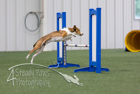 MastersSeriesAgility2026146