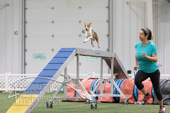 MastersSeriesAgility2026147