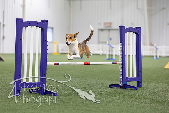MastersSeriesAgility2026149