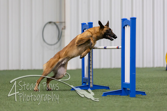 MastersSeriesAgility2026150