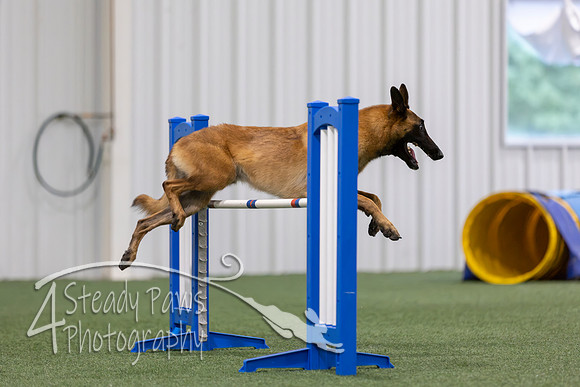 MastersSeriesAgility2026151