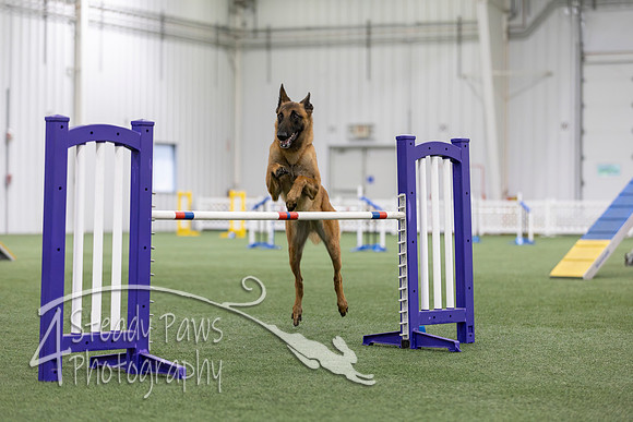 MastersSeriesAgility2026154