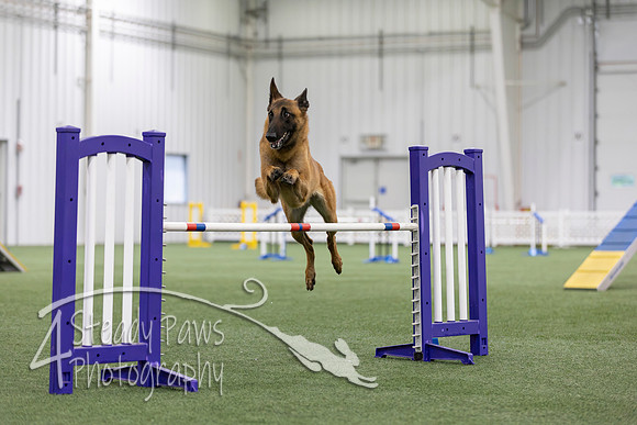 MastersSeriesAgility2026155
