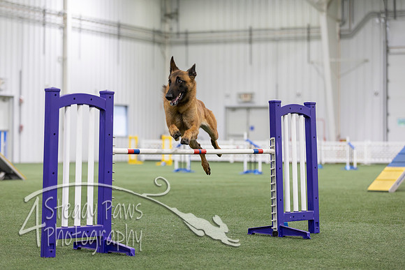MastersSeriesAgility2026156