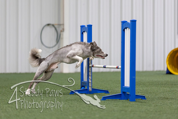 MastersSeriesAgility2026158