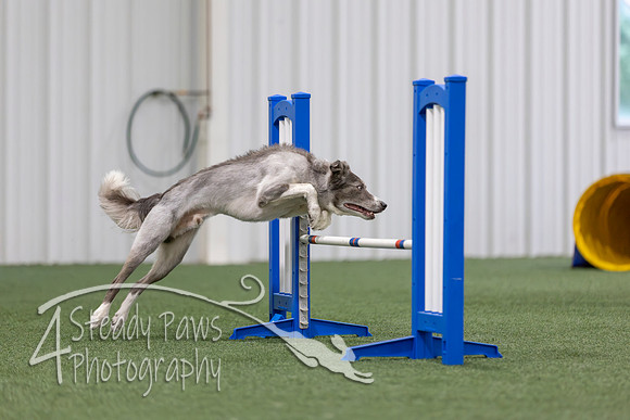 MastersSeriesAgility2026159