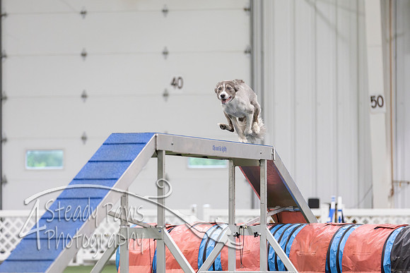 MastersSeriesAgility2026161