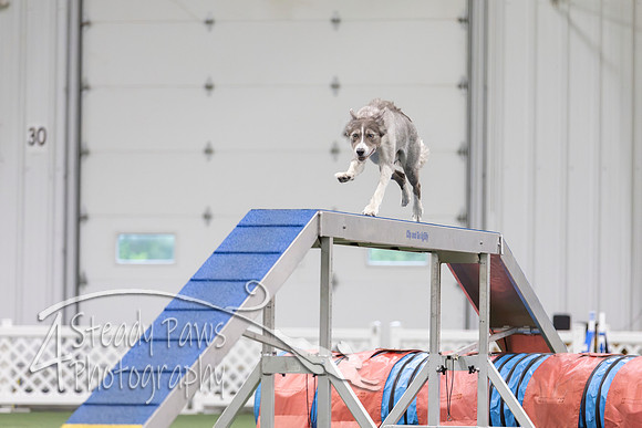 MastersSeriesAgility2026162