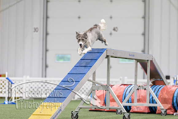 MastersSeriesAgility2026163