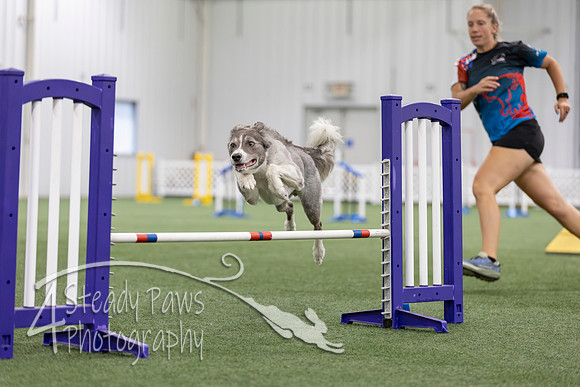 MastersSeriesAgility2026165