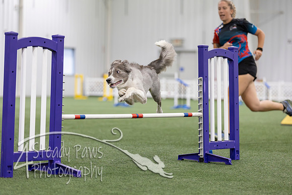MastersSeriesAgility2026166