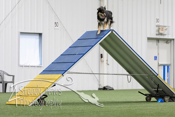 MastersSeriesAgility2026167