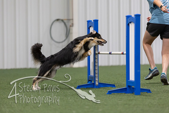 MastersSeriesAgility2026168