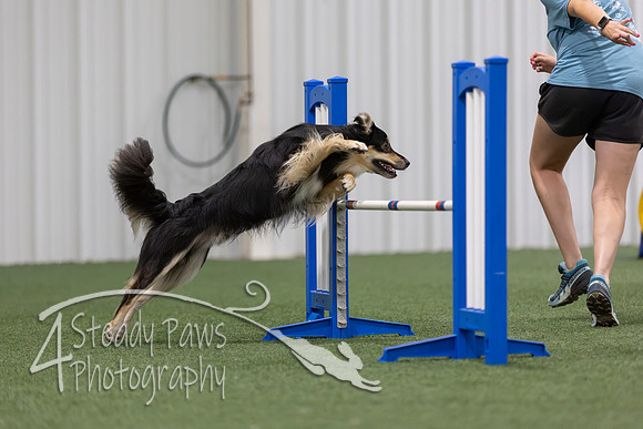 MastersSeriesAgility2026169