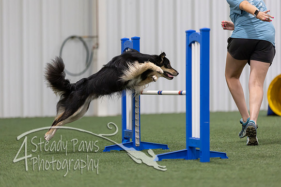 MastersSeriesAgility2026170